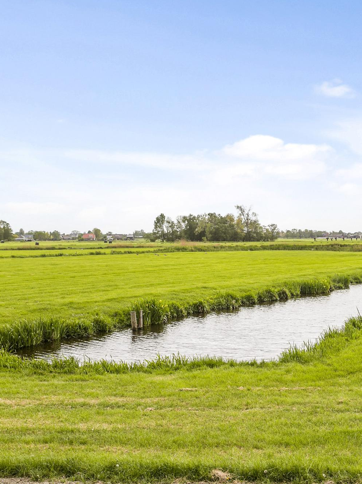 Groene polder in de omgeving van Waverveen